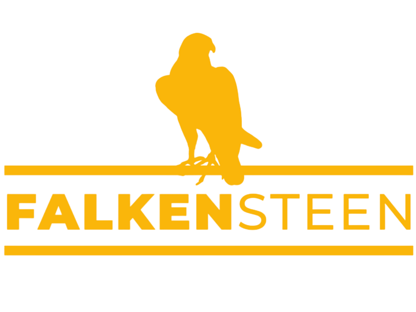 Falkensteen logo copy